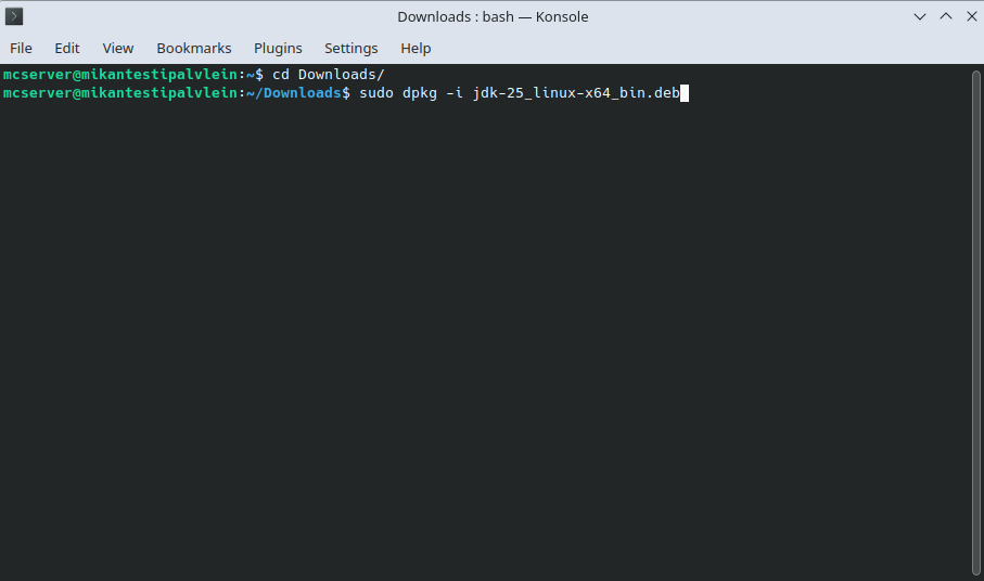 Pasting the manual installation command into the console.