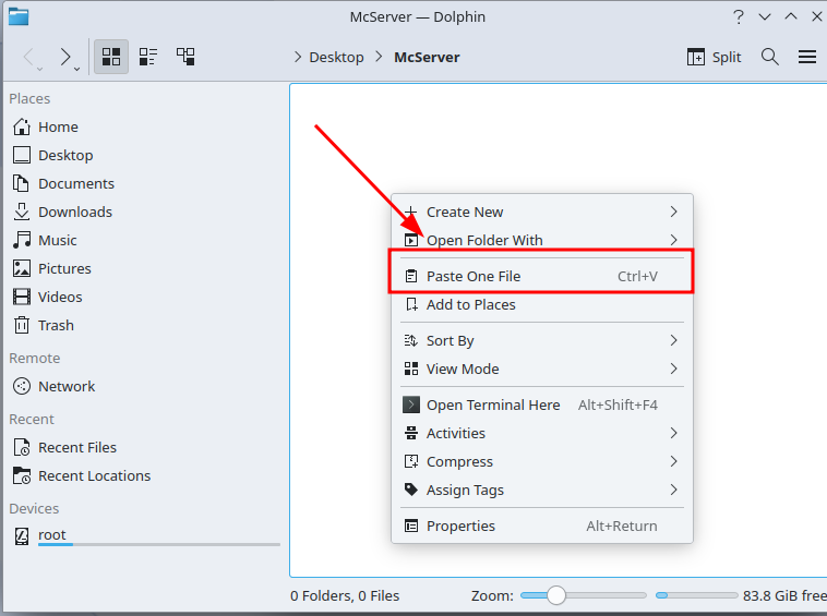 Pasting the Forge file into the server folder.