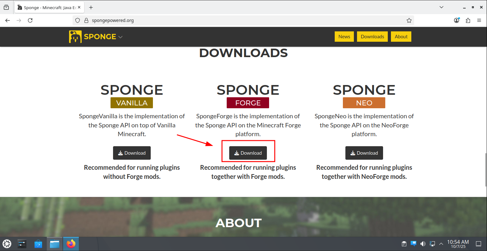 Clicking the 'Download' button under SPONGEFORGE.